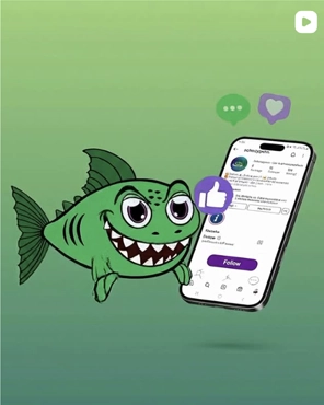 Schnappern Instagram Beitrag